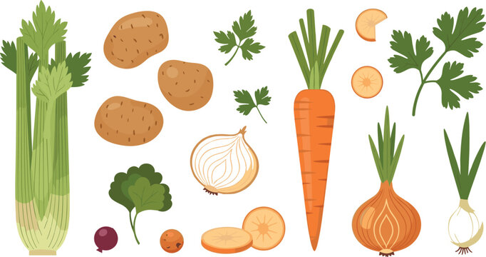 Fresh vegetables vector set with celery potato carrot onion and herbs organic food illustration isolated on white background
