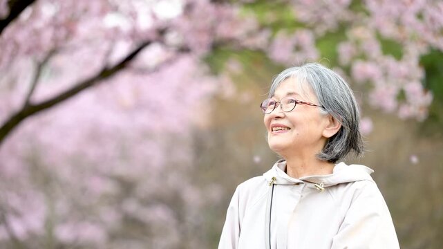 桜吹雪の桜の下で笑顔を見せる高齢女性の健康と幸せな春のイメージ　お花見で桜を見上げるシニア女性のスローモーション動画