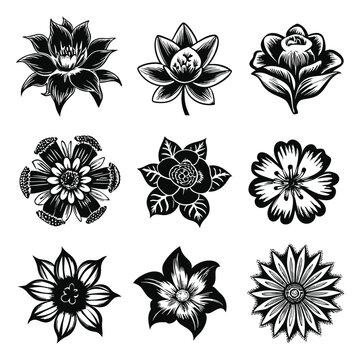 Black and White Flower Silhouette Vector Illustration, Hand Drawn Style