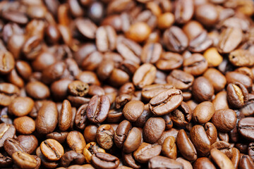 Fototapeta premium beans of roasted natural coffee. coffee background and texture. Aromatic invigorating drink.