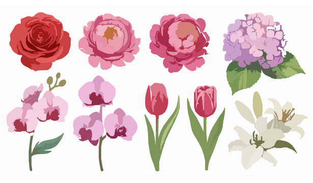 Realistic watercolor flower elements set with roses peonies hydrangeas orchids tulips and lilies isolated on white background