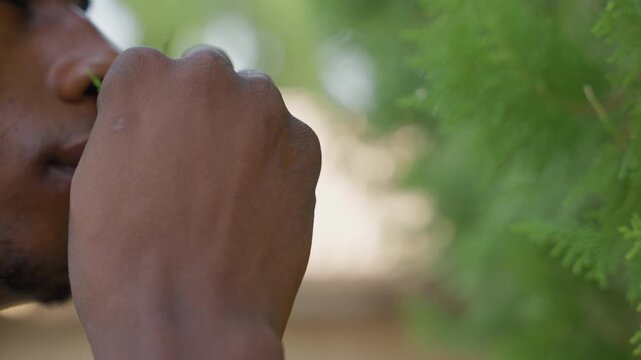 Man inhaling leafy branch closeup, lush foliage framing face, deliberate sniffing and subtle exhale, urban garden setting, attentive explorer and botanist gestures across frames, tactile hand