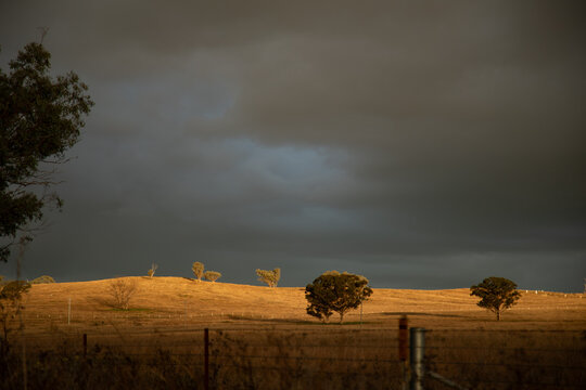 Golden hour light illuminates rolling hills under a dramatic, stormy sky