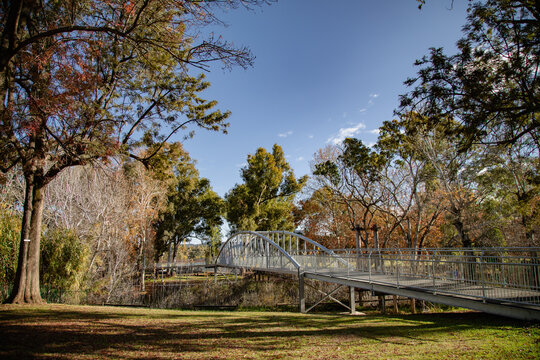 Modern pedestrian bridge arches over a tranquil park with autumn foliage and clear blue sky
