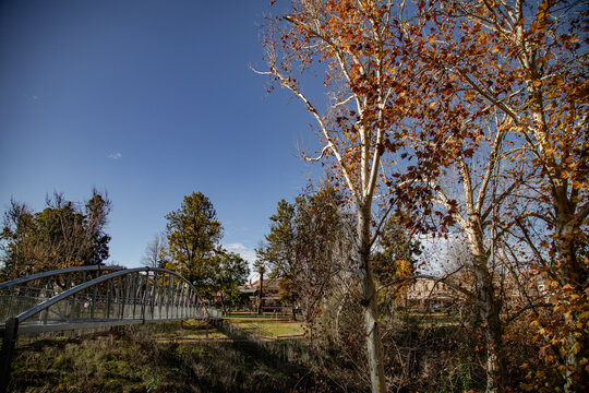 Autumn park scene with a modern pedestrian bridge and trees showing fall foliage
