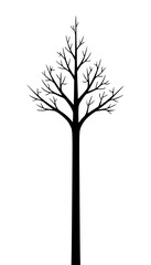 Obraz premium Bare tree, black tree silhouette, minimalist tree icon, simple tree vector, landscape element isolated PNG with Transparent Background