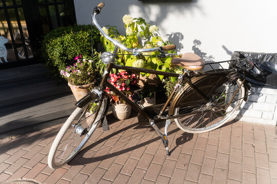 Vintage bicycle in front of the shop and beautiful light from sunrays