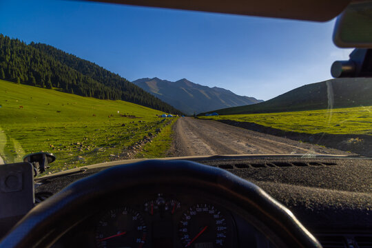 Herd of horses peacefully grazing in grassy fields against a backdrop of majestic mountains. Driver perspective view from behind steering wheel.
