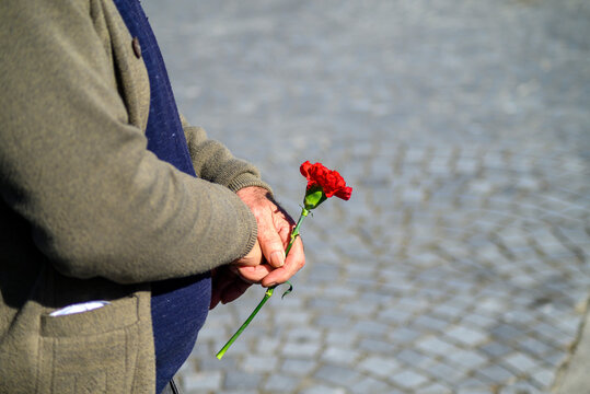 Portugal April 25th an elderly man holding a red carnation The Concept of Memory