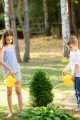 Obraz premium Boy and girl watering young green plant with yellow cans in sunny garden. Eco-Education and Responsibility Concept, Summer Holidays, Rural Lifestyle Scene, gardening, summer vacation in countryside