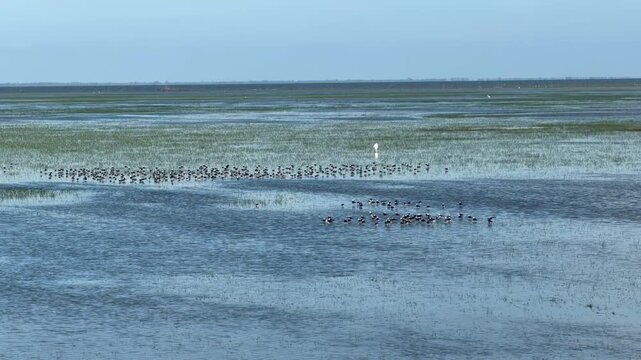 Cinematic 4K aerial view of the famous abandoned Twin Houses in Thale Noi wetlands with white birds sitting in water near Chaloem Phra Kiat road bridge in Phatthalung Thailand at daytime