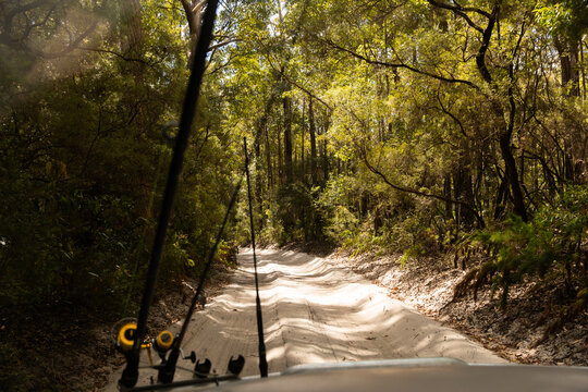 four wheel driving on a sandy track through trees on K'gari