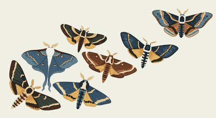 An artistic arrangement of richly patterned moths in shades of blue, brown, and gold