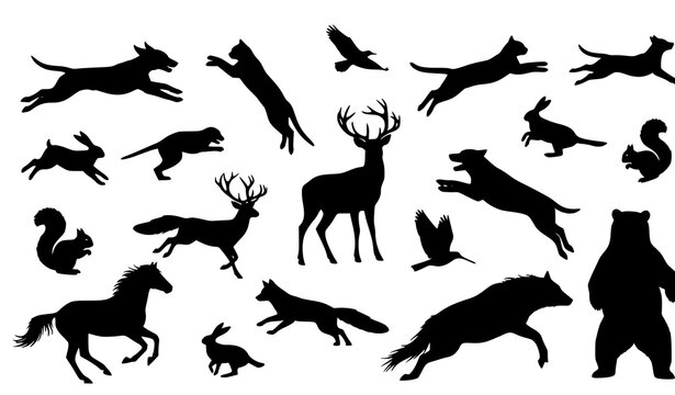 Dynamic animal silhouettes action poses wildlife and pets vector illustration set