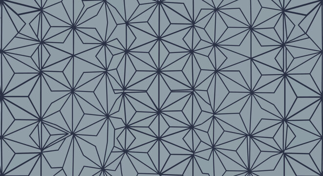 Seamless Geometric Pattern with Japanese Asanoha Style Lines