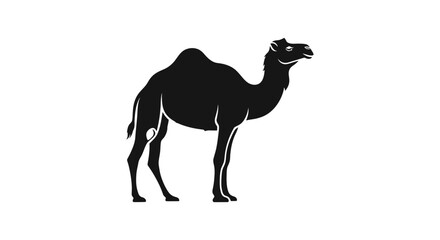 Fototapeta premium Black silhouette of a dromedary camel standing, isolated on a white background, depicting desert animal.