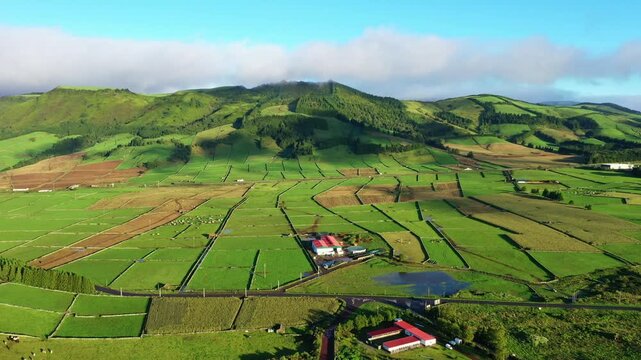 Aerial view of lush green patchwork fields, farm buildings with red roofs, and rolling hills under a blue sky in Ribeirinha, Azores, Portugal.