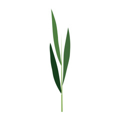 Fototapeta premium An illustration of green leaves