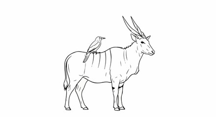 Fototapeta premium Line drawing of an antelope with a bird perched on its back