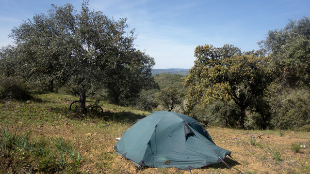Zelten im Olivenhain Furnazinhas Algarve