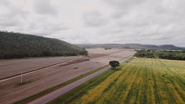 Tractor pulling multi-row planter performing precision seeding in Formosa, Goi&aacute;s, Central-West Brazil, with visible seeded strips and large-scale mechanized grain production, aerial view, high angle