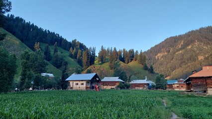 lush green mountain landscape featuring a remote village community and agricultural fields. © M_ZEESHAN_NADEEM