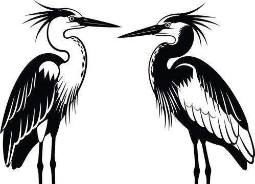 Great blue heron bird black silhouette set with elegant long necked water birds standing isolated on white background for nature wildlife vector design.