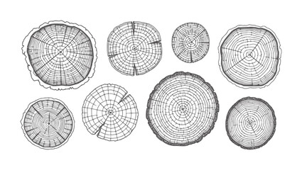 Collection of hand drawn tree trunk cross sections with visible rings and bark wood © Mehedy