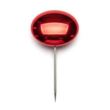 Cooking meat on a skewer with a digital temperature probe inserted