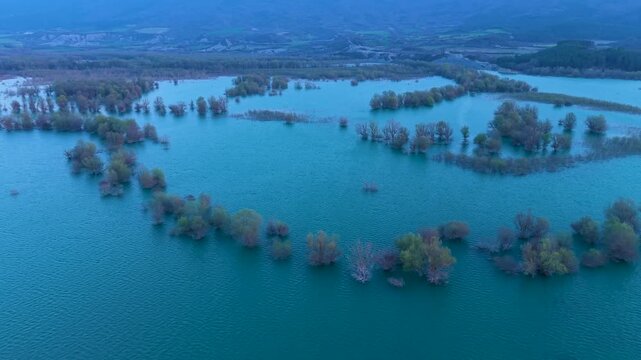 Aerial view from a drone of the willow groves at the Yesa reservoir in the province of Zaragoza, Aragon, Spain, Europe