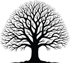 Obraz premium Silhouette of a bare tree with intricate branches against a white background.