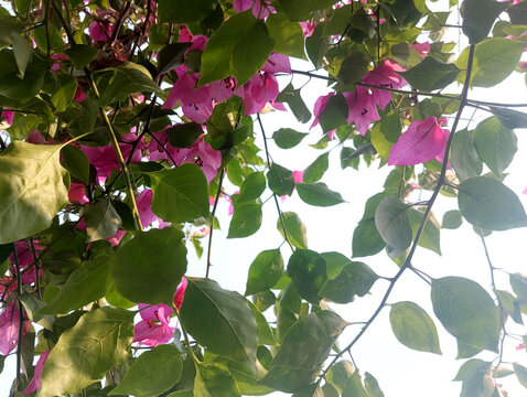 Aerial view showcasing urban residential areas with lush greenery and patchwork fields in a vibrant landscape