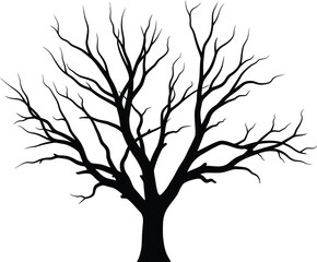 Obraz premium Silhouette of a bare tree with branches against a white background.