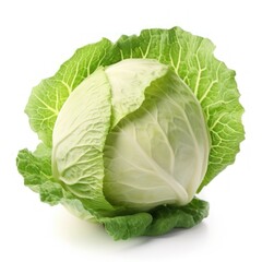 Obraz premium Cabbage vegetable plant food.
