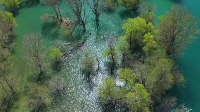 Aerial view from a drone of the willow groves at the Yesa reservoir in the province of Zaragoza, Aragon, Spain, Europe