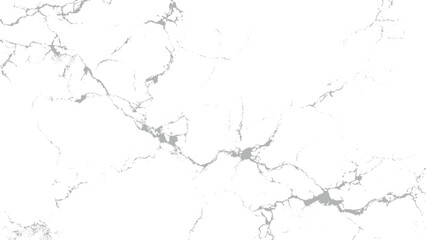 Fototapeta premium Grey and white marble texture with natural cracks and veins pattern