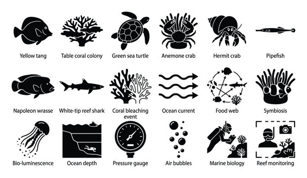 Marine biology and oceanography icon set illustrating various sea creatures, coral reef habitats, underwater phenomena, and research activities ideal for educational or scientific use.
