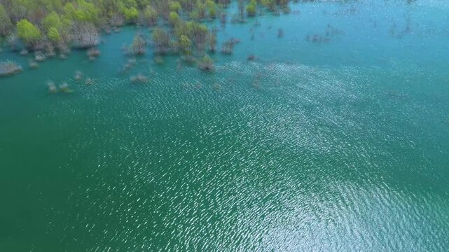 Aerial view from a drone of the willow groves at the Yesa reservoir in the province of Zaragoza, Aragon, Spain, Europe