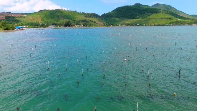 Aerial view of the Oyster Farm lagoon, a scene of tranquil waters meeting verdant hills under a vast sky, tt. Lang Co, Hue, Vietnam.