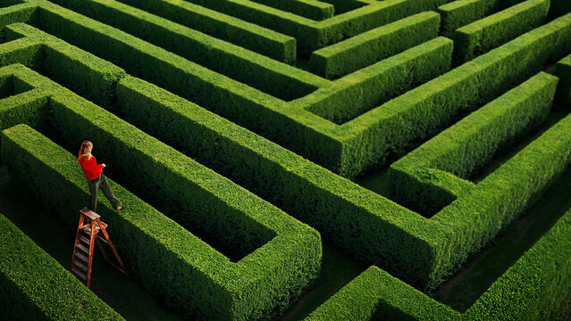 Woman standing on ladder above maze looking for direction overview and strategy. Concept of perspective, planning, leadership, problem solving, decision making and finding optimal path.