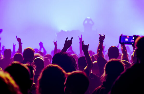crowd of people dancing at concert