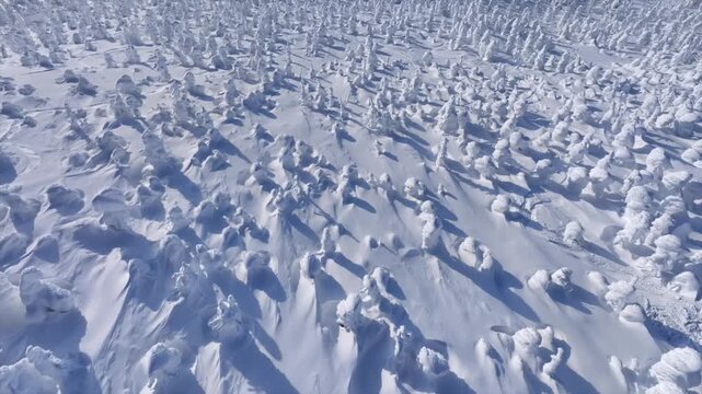 Aerial view of snow-covered trees under light blue sky creating a monochromatic landscape, with shadows adding depth, Yamagata, Yamagata, Japan.