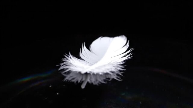 A delicate white feather rotates gracefully in slow motion against a dark, reflective background, showcasing its soft textures and airy lightness.