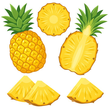 Vector set of fresh pineapple whole and sliced isolated on white background. Tropical fruits. Cartoon vector illustration, isolated on white background