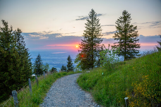Mountain hiking trail at blue hour on Mount Rigi at sunset