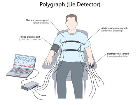 polygraph test setup showing chest and abdominal breathing sensors, blood pressure cuff, electrodermal activity monitoring system diagram hand drawn schematic vector. Science educational illustration