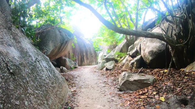 Point of view walk on a sandy path at Anse Source d Argent with tropical vegetation and granite rocks creating a scenic exotic beach environment ideal for travel tourism and lifestyle content