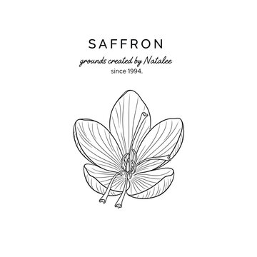 Elegant saffron flower illustration by nataliee since 1994