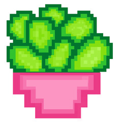 Fototapeta premium Pixel art potted succulent retro 8 bit illustration