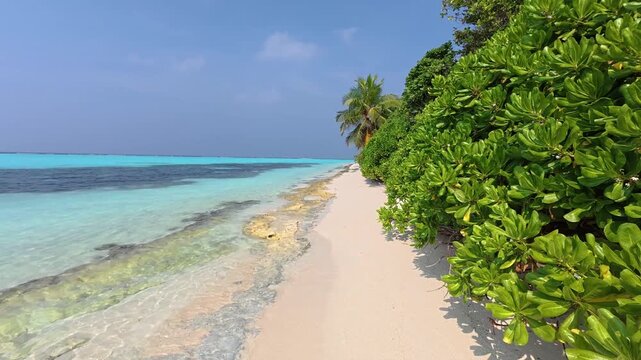 Walking along a pristine sandy beach on Thoddoo Island in the Maldives with turquoise ocean and tropical greenery. Relaxing coastal travel scene with clear water and palm trees.